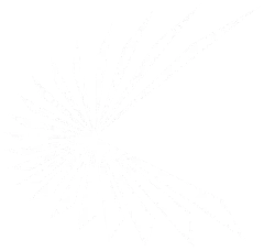 用户端/ 需求方